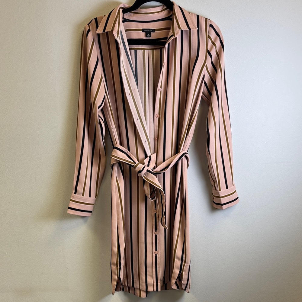 Ann Taylor Pink and Black Striped Long Sleeve Dress - Picture 5 of 6